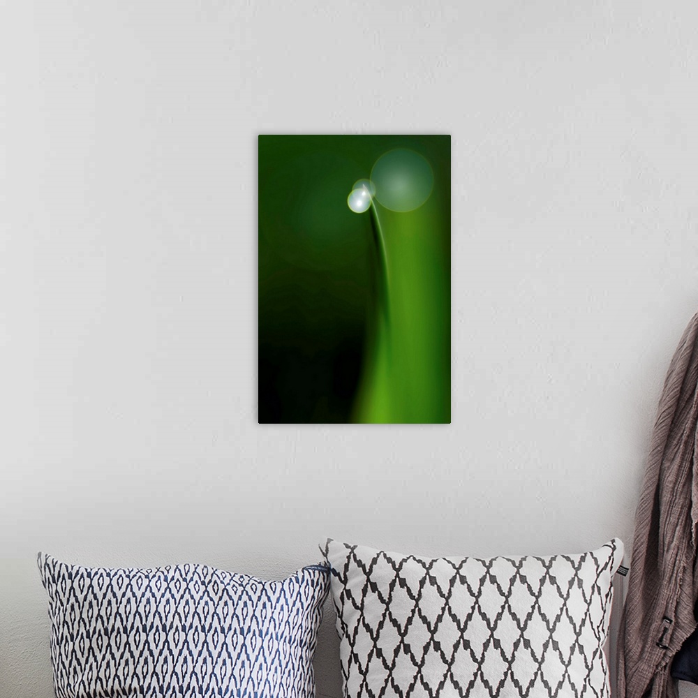 A bohemian room featuring Soft light on a blade of grass with a dew drop.