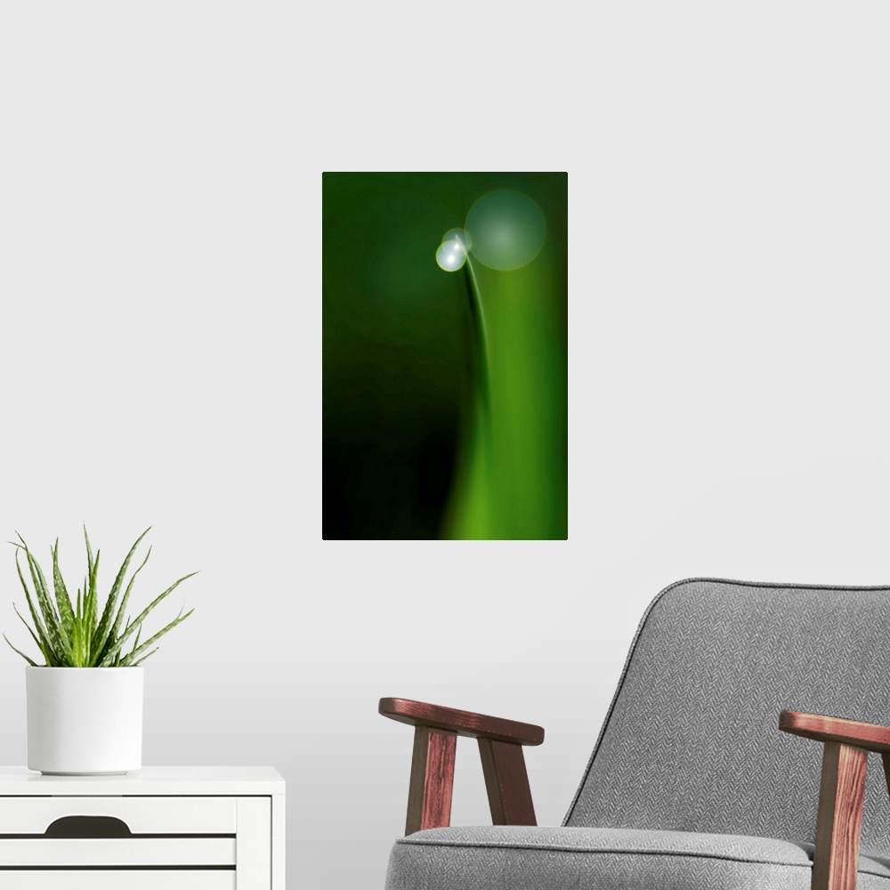 A modern room featuring Soft light on a blade of grass with a dew drop.