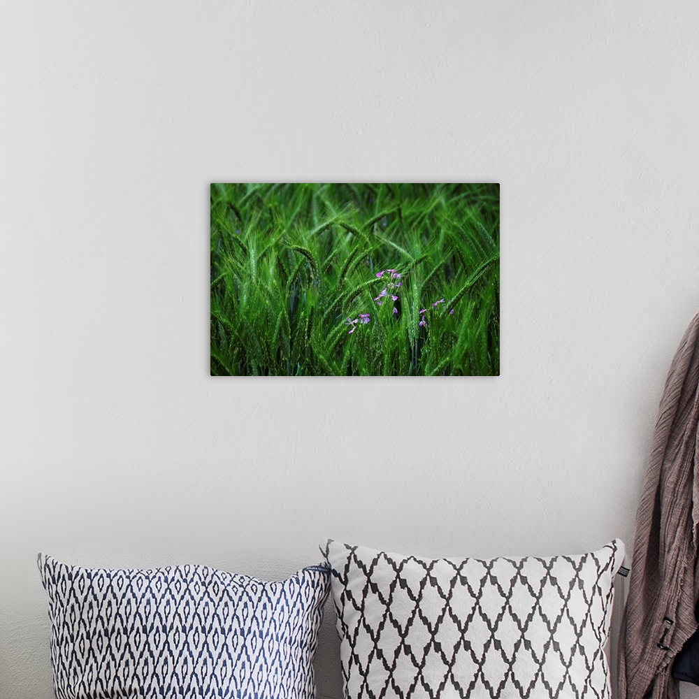 A bohemian room featuring Green grass moving in the wind