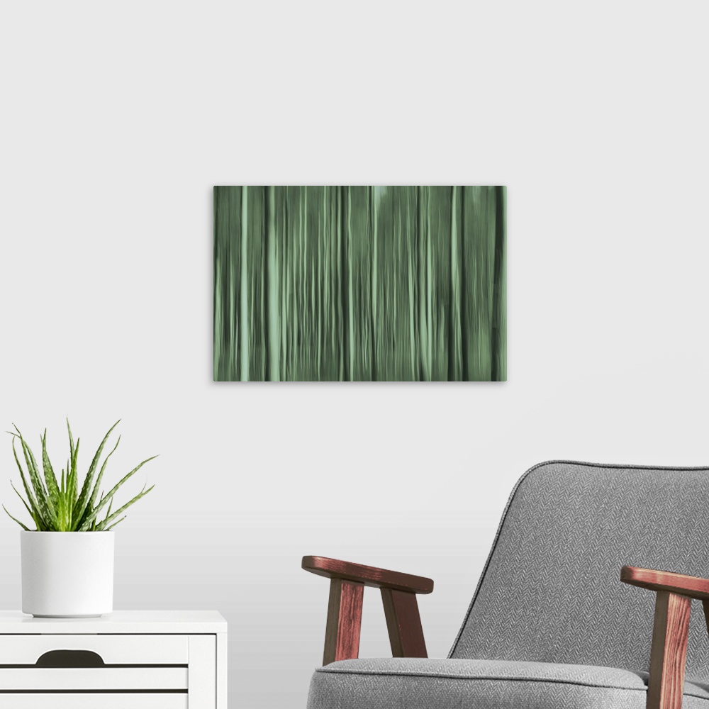 A modern room featuring Artistically blurred photo. A totally green forest, thanks to an old camera that has troubles to ...