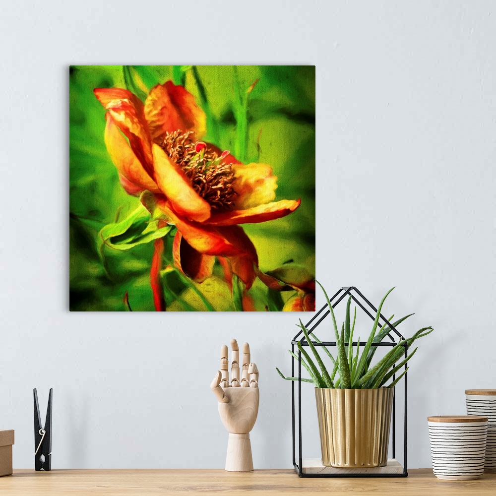 A bohemian room featuring An artistic photograph of a golden orange flower surrounded by green.
