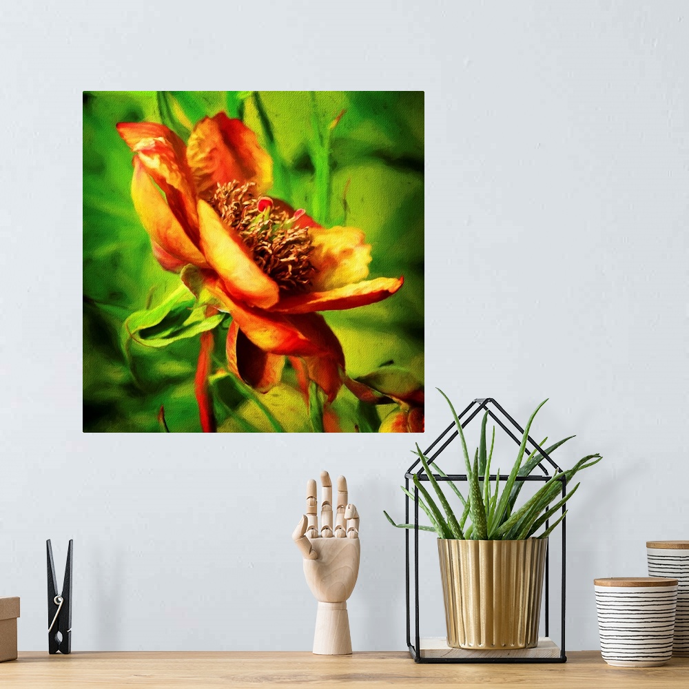 A bohemian room featuring An artistic photograph of a golden orange flower surrounded by green.