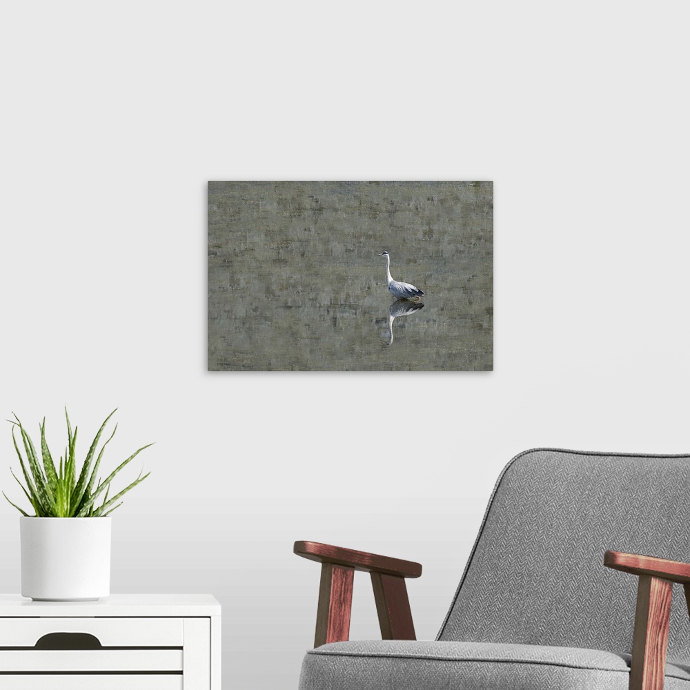 A modern room featuring Grey Heron
