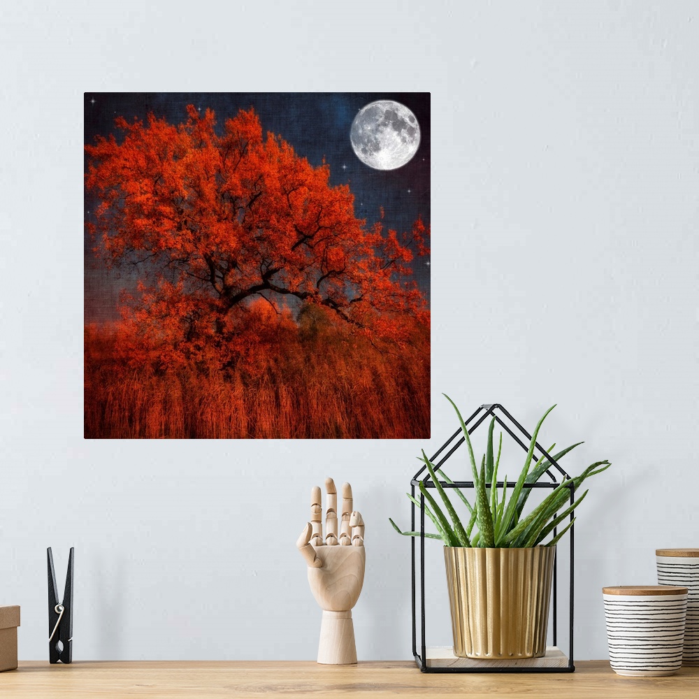 A bohemian room featuring A large tree with autumn leaves sits in a field of tall orange grass. A full moon and several sta...