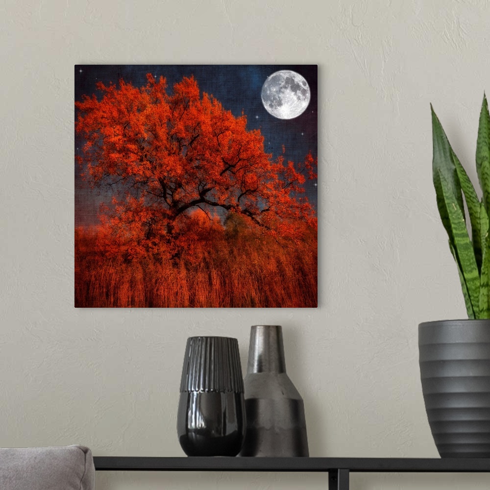 A modern room featuring A large tree with autumn leaves sits in a field of tall orange grass. A full moon and several sta...