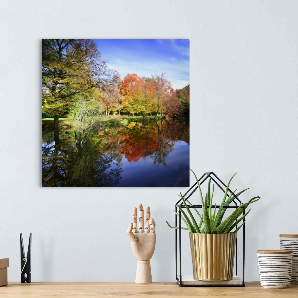 A bohemian room featuring Forest in autumn at the edge of a lake