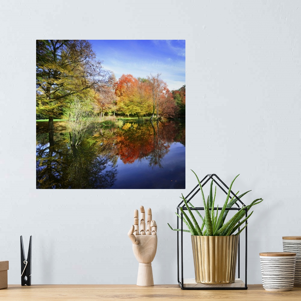 A bohemian room featuring Forest in autumn at the edge of a lake