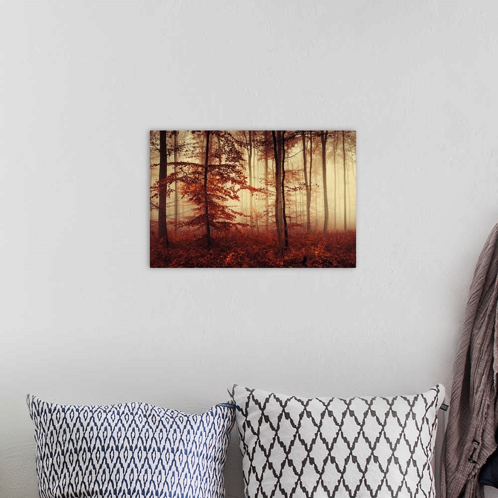 A bohemian room featuring Fine art photo of a misty forest of slender trees in fall colors.