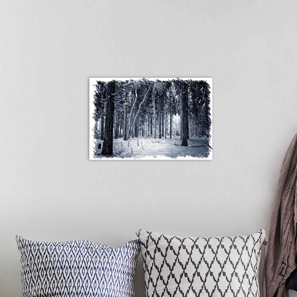 A bohemian room featuring Interior of a winter forest with a drawing effect