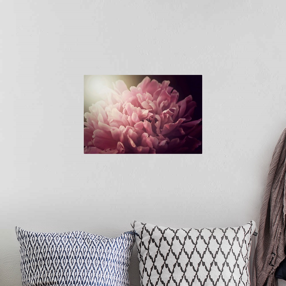 A bohemian room featuring Photograph of an extreme close-up of a pink flower.