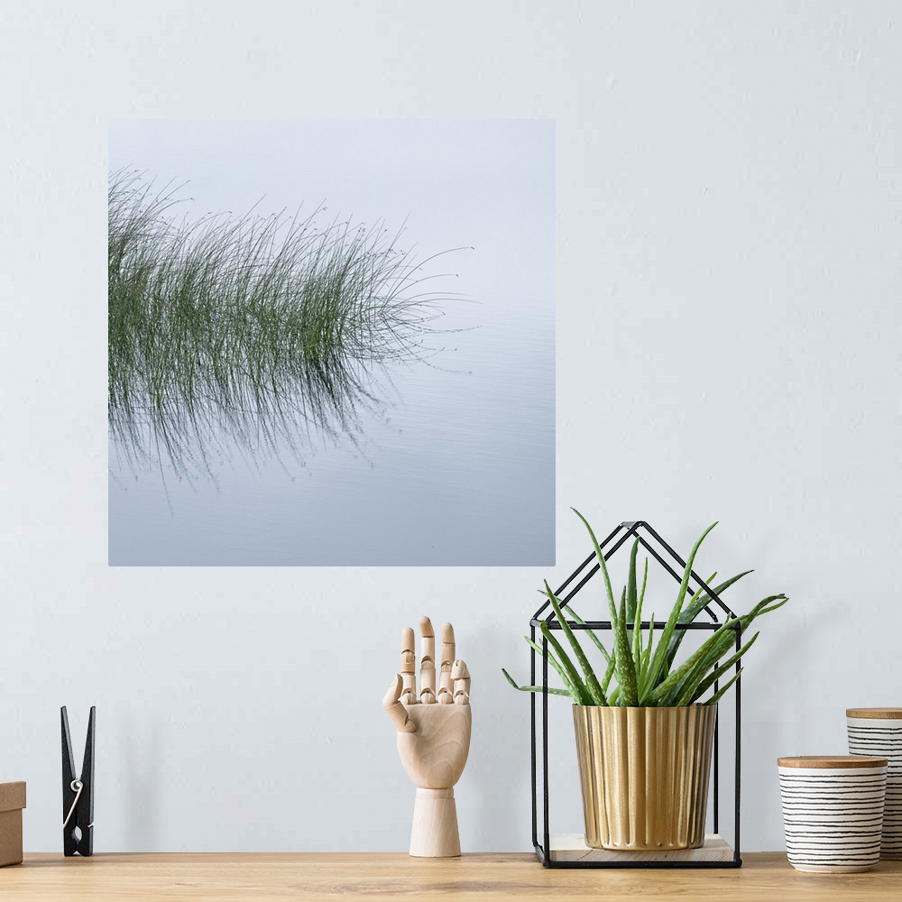 A bohemian room featuring A photograph of tall water grass being reflected in still water on a foggy day.