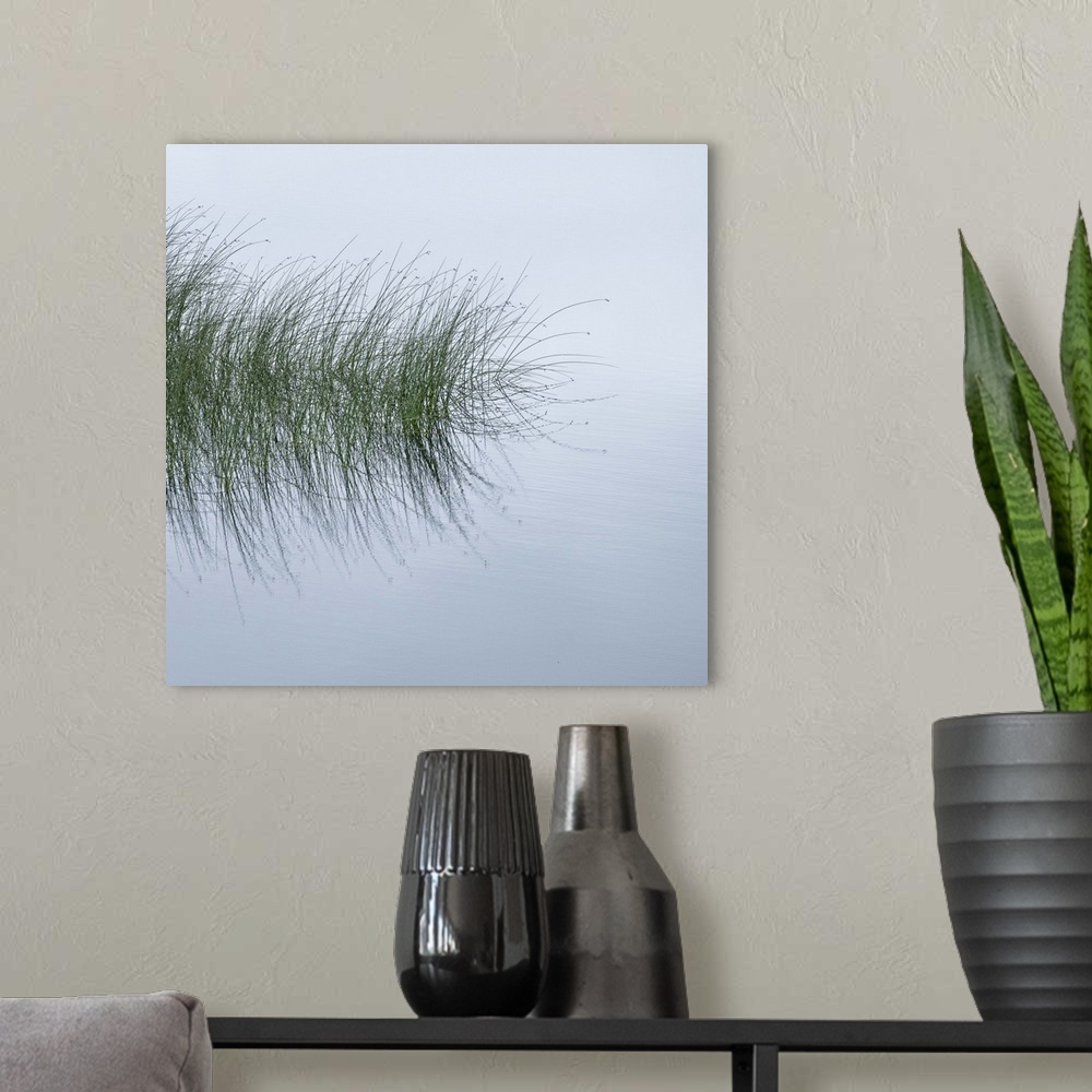 A modern room featuring A photograph of tall water grass being reflected in still water on a foggy day.