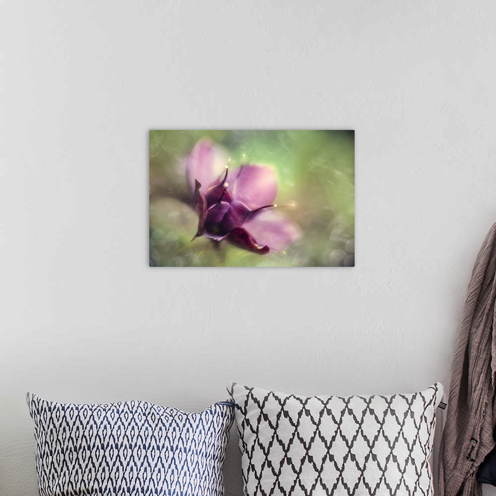 A bohemian room featuring Beautiful bokeh wrapped around a creative painterly Heleboros.