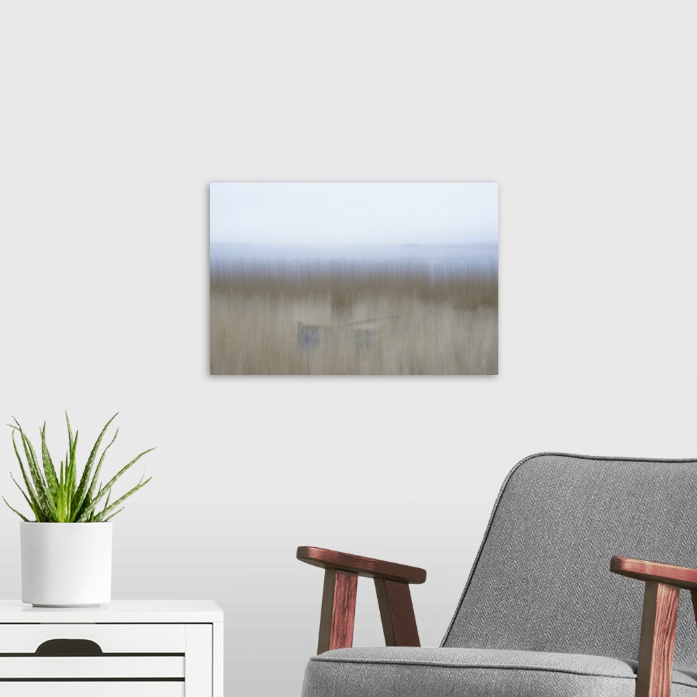 A modern room featuring Artistically blurred photo. A rowing boat is hiding in the reed on the border of a lake.