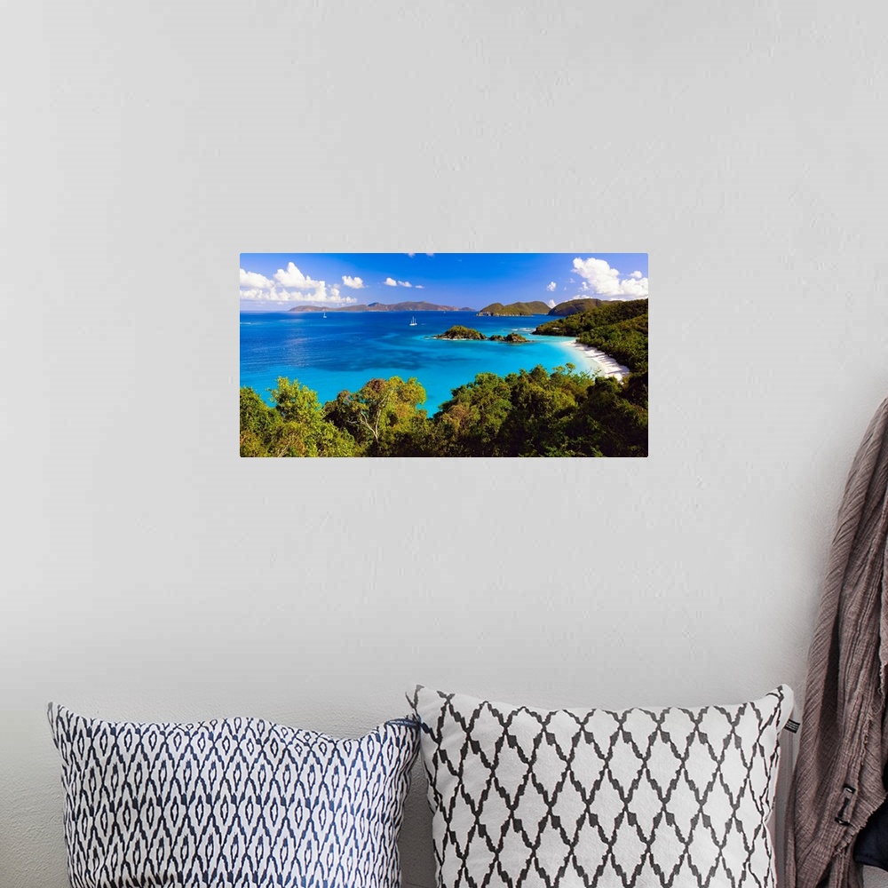 A bohemian room featuring Panoramic photograph of cove with water on left and tree lined beach on right.  There are vegetat...