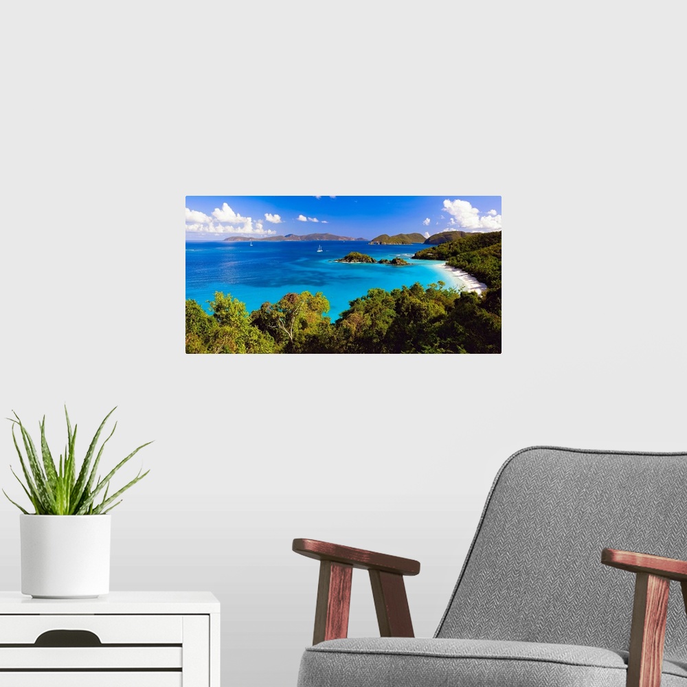 A modern room featuring Panoramic photograph of cove with water on left and tree lined beach on right.  There are vegetat...