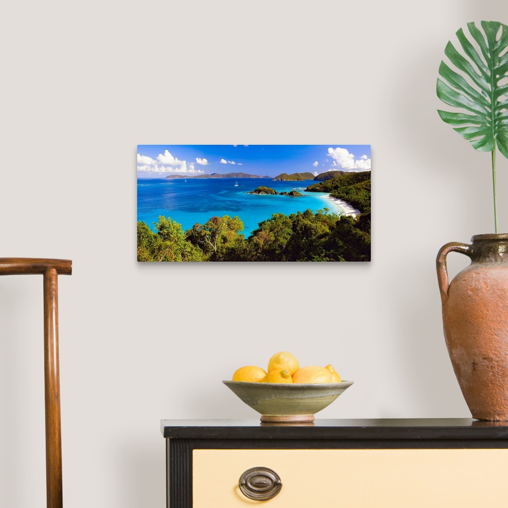 A traditional room featuring Panoramic photograph of cove with water on left and tree lined beach on right.  There are vegetat...