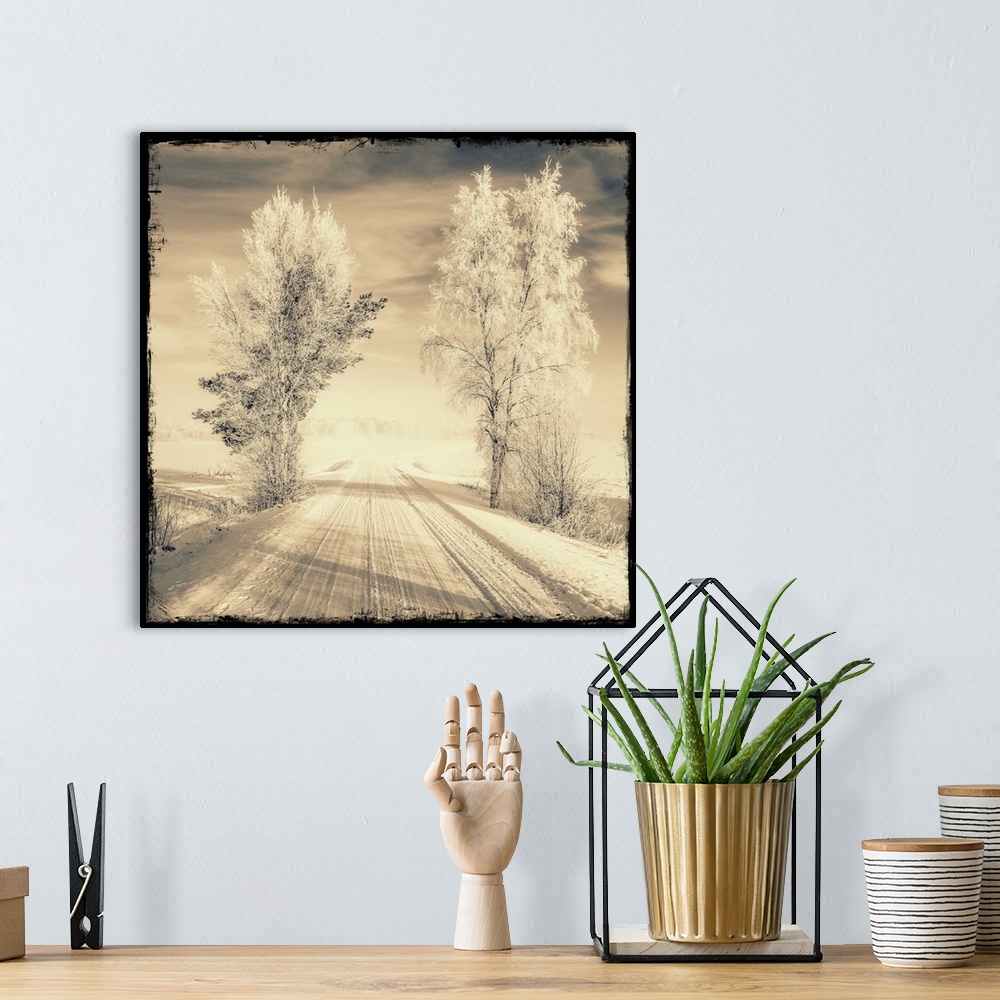 A bohemian room featuring Snow-covered path passing between two trees with a sepia tone