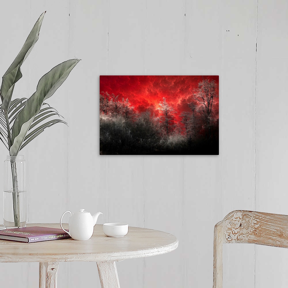 A farmhouse room featuring Horizontal, large wall art of a black and grey forest of trees beneath a deep red sky with billow...