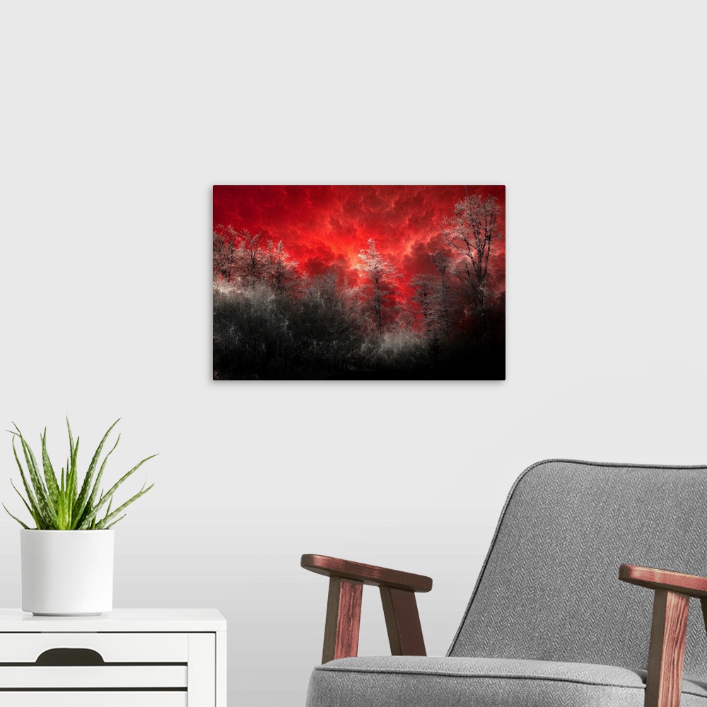 A modern room featuring Horizontal, large wall art of a black and grey forest of trees beneath a deep red sky with billow...