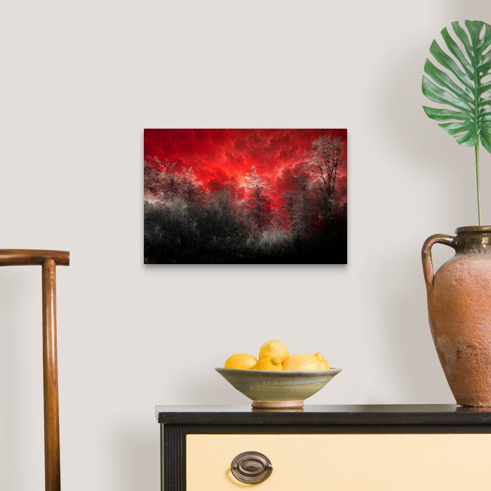 A traditional room featuring Horizontal, large wall art of a black and grey forest of trees beneath a deep red sky with billow...