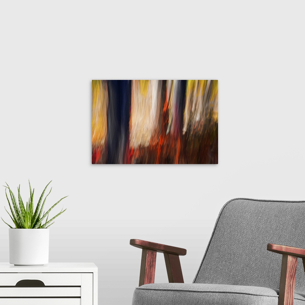 A modern room featuring Abstract image of a bunch of huckleberry bushes in glorious Autumn red, in between a bunch of tre...