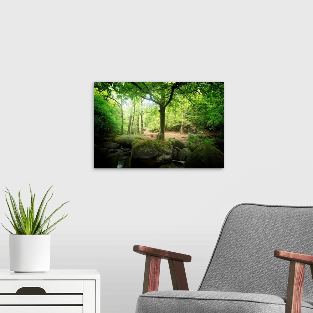 A modern room featuring Huelgoat forest in Brittany with  green trees around the silver river in the place called the chaos