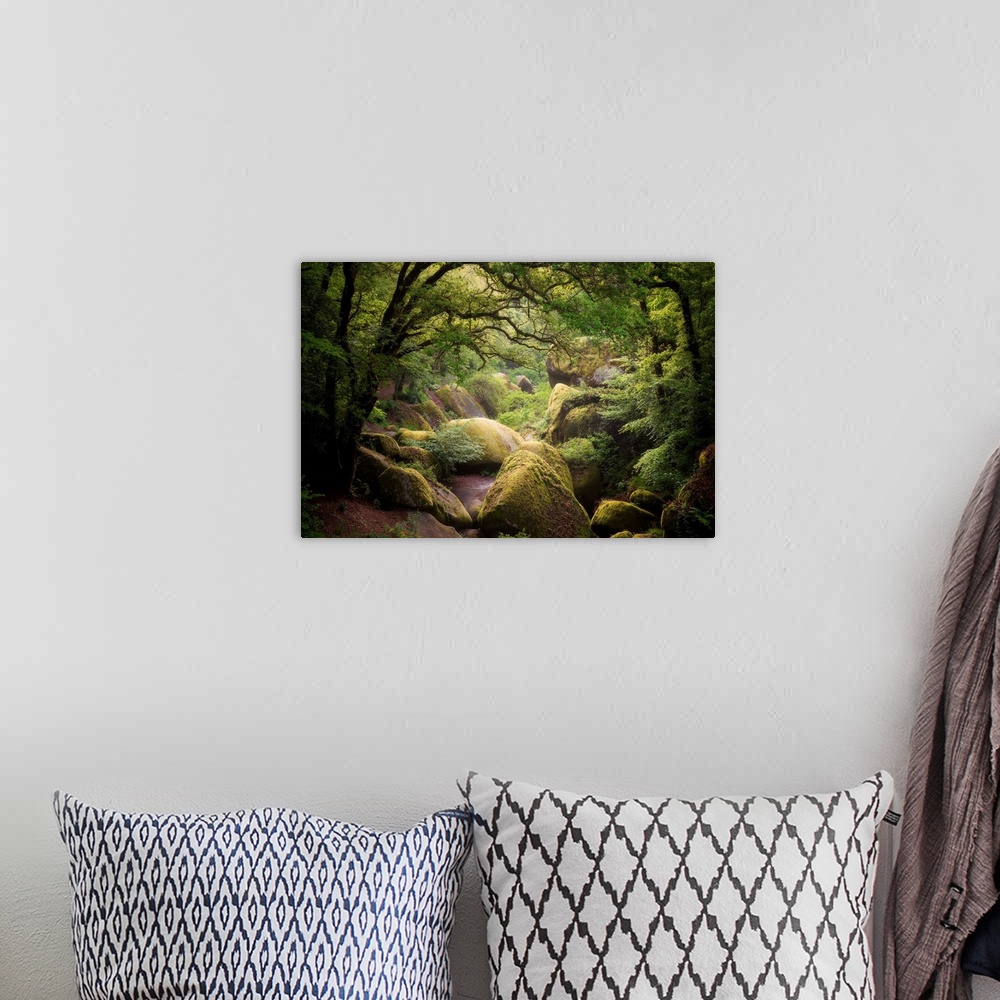 A bohemian room featuring Picture of huelgoat forest in Brittany with big granitic rocks and green trees in the place calle...