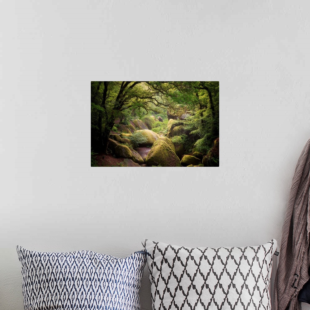 A bohemian room featuring Picture of huelgoat forest in Brittany with big granitic rocks and green trees in the place calle...