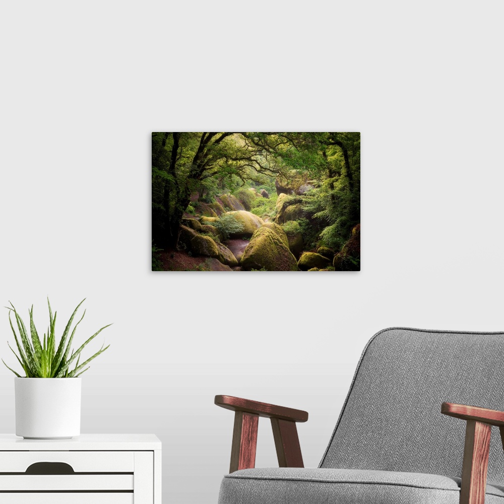 A modern room featuring Picture of huelgoat forest in Brittany with big granitic rocks and green trees in the place calle...