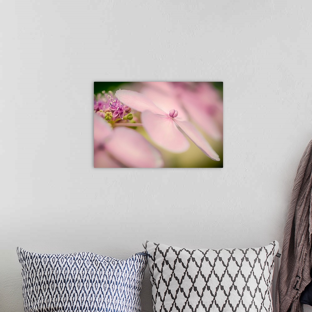 A bohemian room featuring Hydrangea Bouquet