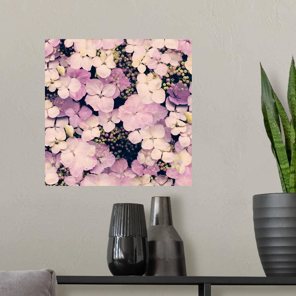 A modern room featuring A cluster of hydrangea flowers in shades of pink.