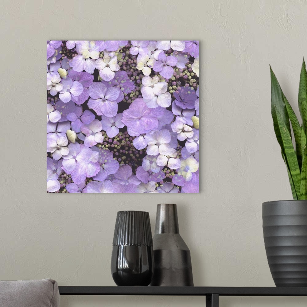 A modern room featuring A cluster of hydrangea flowers in shades of purple.