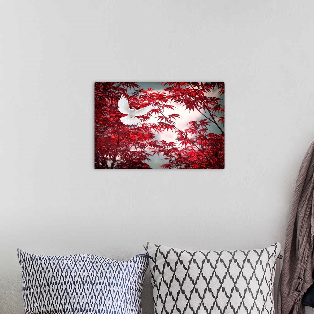 A bohemian room featuring Photograph of a white dove in flight with a red Japanese maple behind.