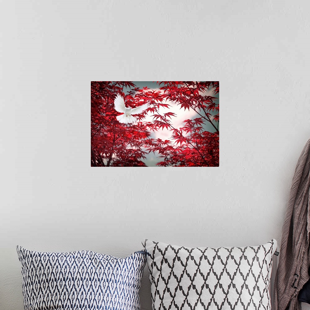 A bohemian room featuring Photograph of a white dove in flight with a red Japanese maple behind.