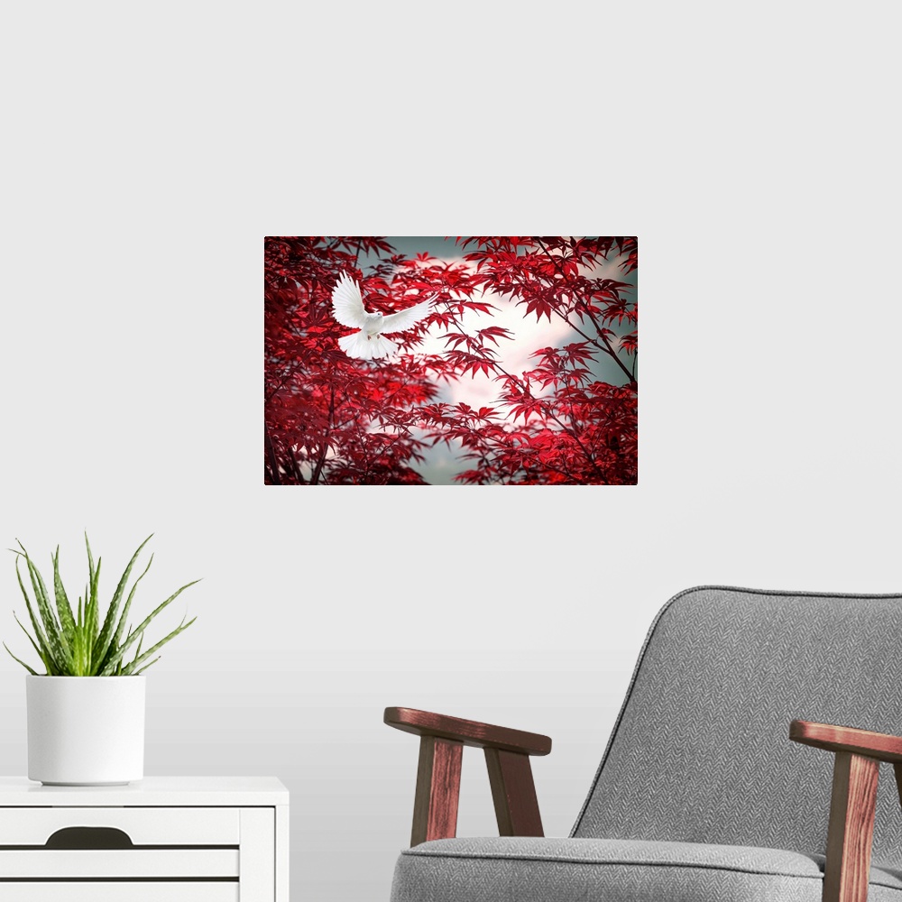 A modern room featuring Photograph of a white dove in flight with a red Japanese maple behind.