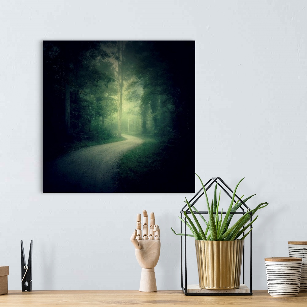 A bohemian room featuring Path in a misty forest