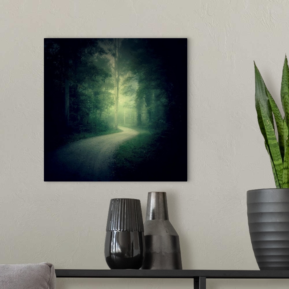 A modern room featuring Path in a misty forest