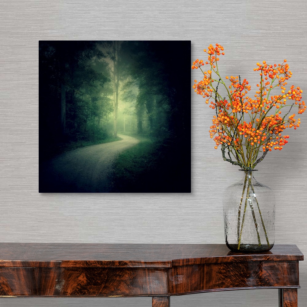 A traditional room featuring Path in a misty forest