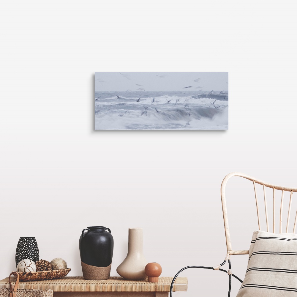 A farmhouse room featuring Artistically blurred photo. Seagulls in search for food let themselves be immersed in the salt wa...
