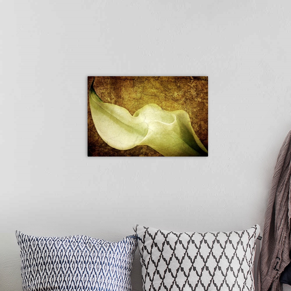 A bohemian room featuring A photograph of a calla lily collaged over a texture of cracking paint and other tints to this me...