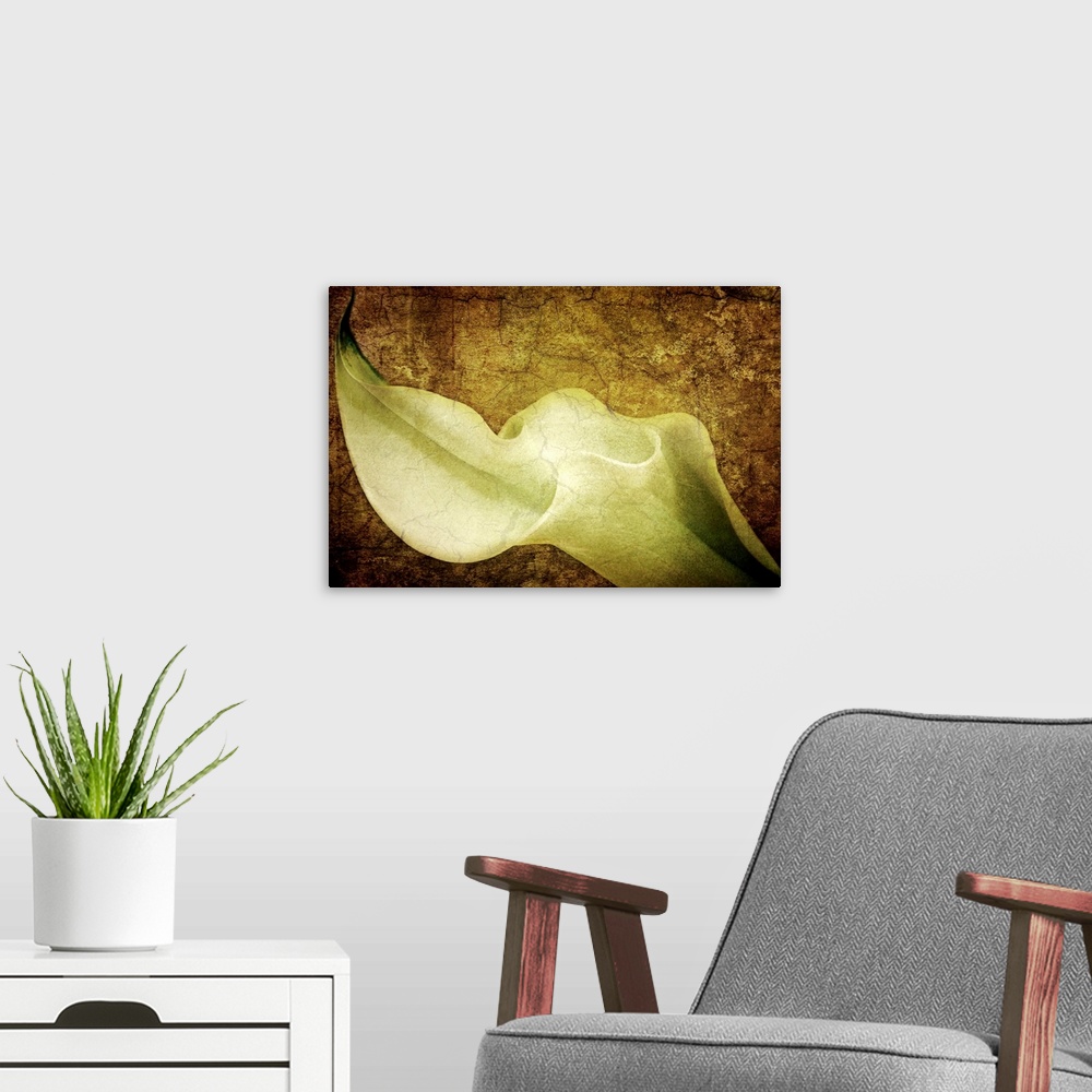 A modern room featuring A photograph of a calla lily collaged over a texture of cracking paint and other tints to this me...