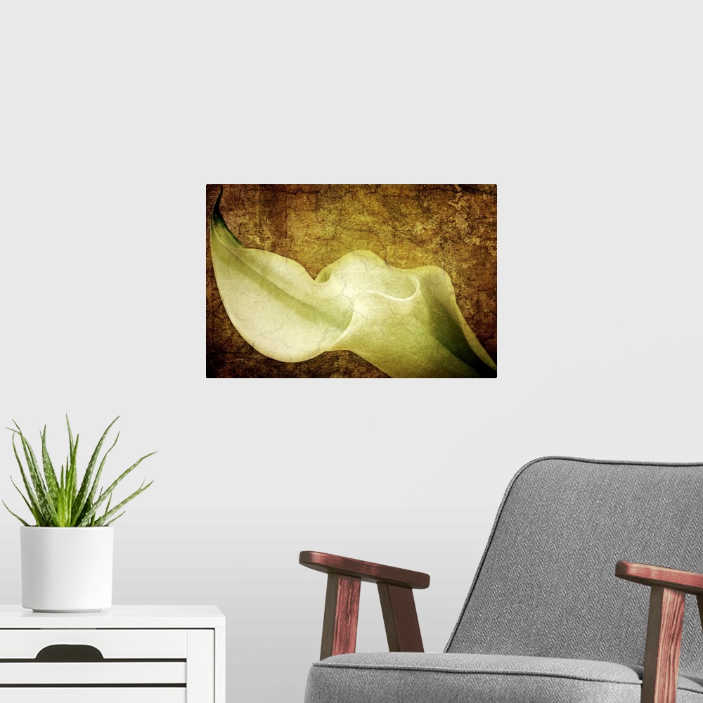 A modern room featuring A photograph of a calla lily collaged over a texture of cracking paint and other tints to this me...