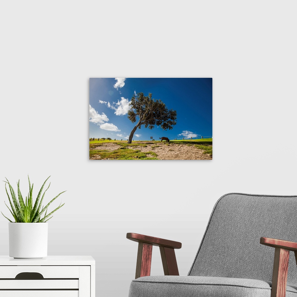 A modern room featuring A photo of a freestanding tree against a sunny blue sky with a dog sniffing the ground underneath.
