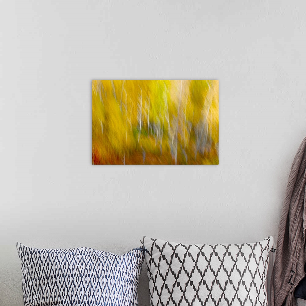 A bohemian room featuring A photograph of forest in fall foliage captured in motion blur.