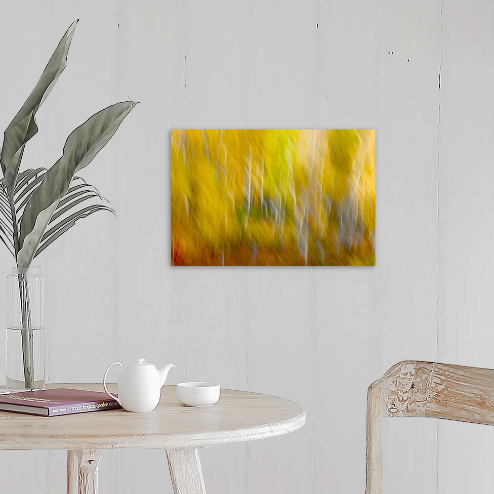 A farmhouse room featuring A photograph of forest in fall foliage captured in motion blur.