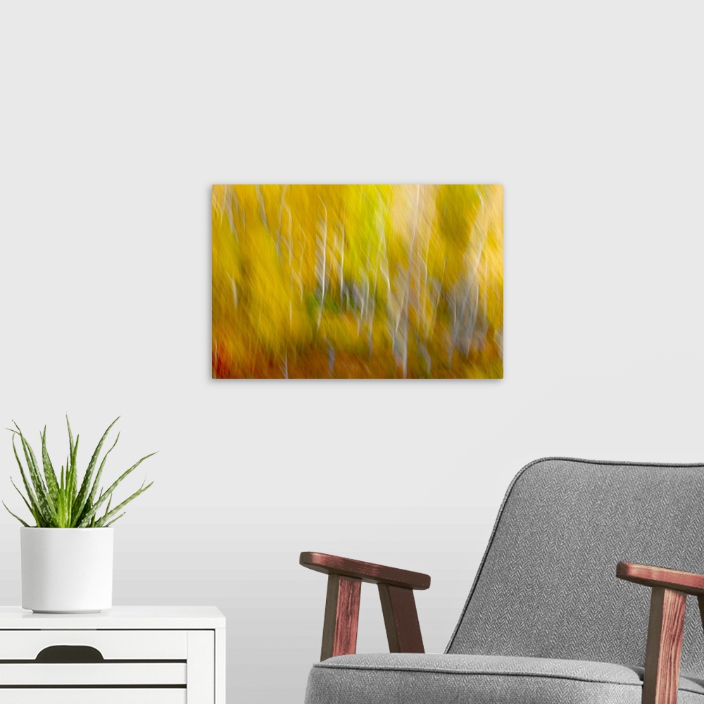 A modern room featuring A photograph of forest in fall foliage captured in motion blur.