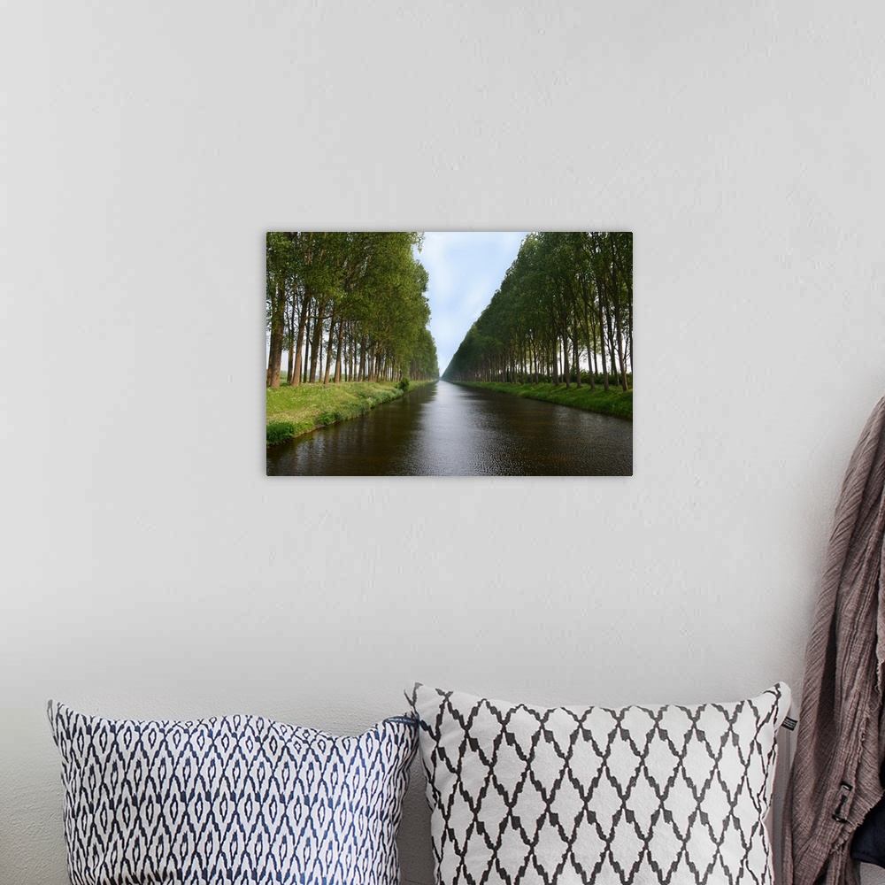 A bohemian room featuring Tree lined canals near Damme in Belgium.