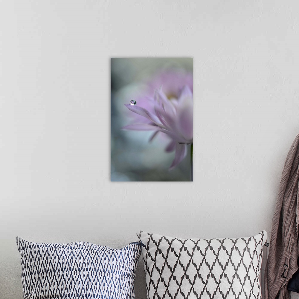 A bohemian room featuring A photograph of a pink flower with a water droplet hanging from the end of one of its petals.