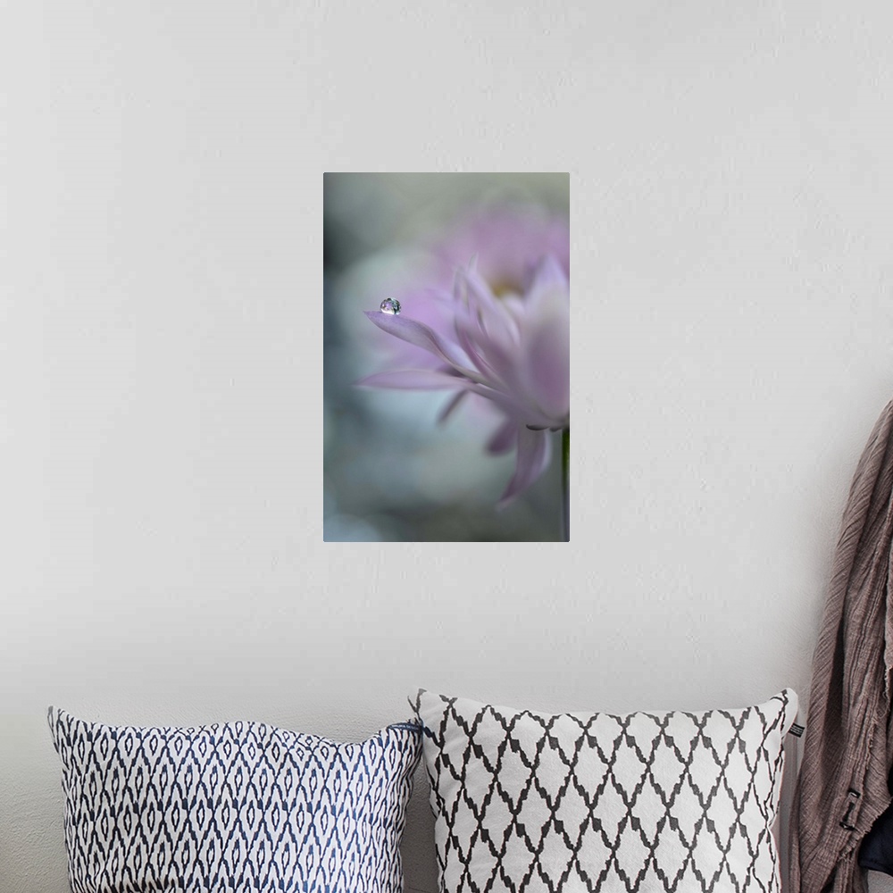 A bohemian room featuring A photograph of a pink flower with a water droplet hanging from the end of one of its petals.